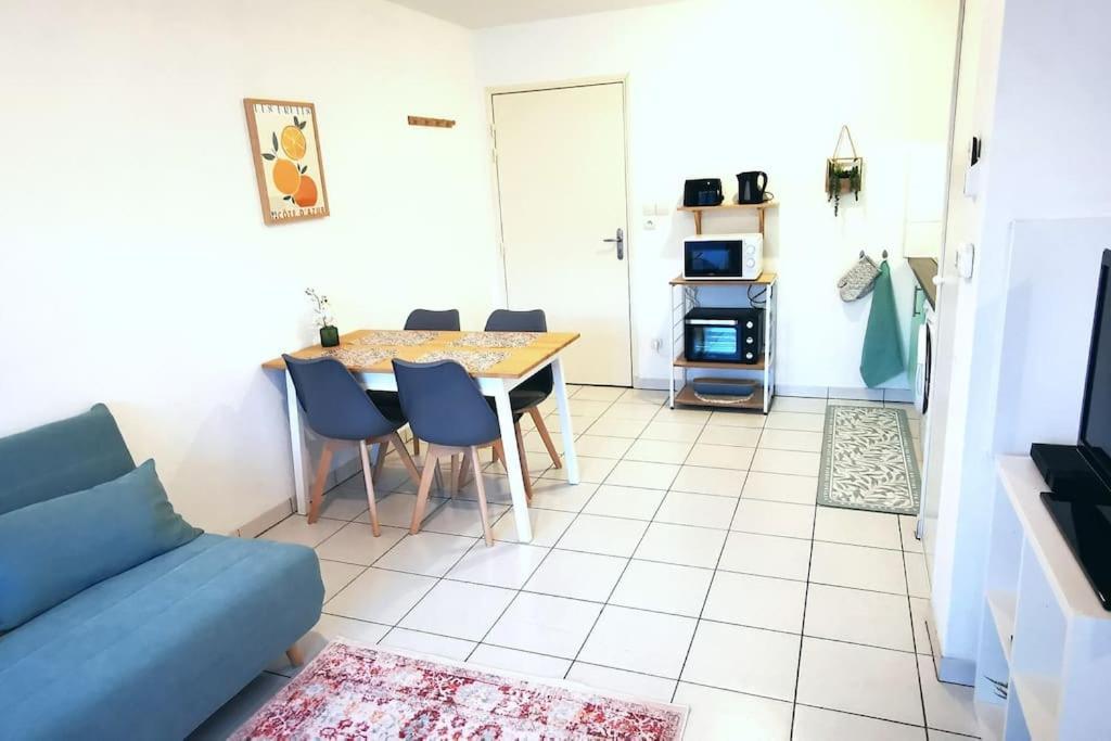 Grand Studio Lumineux Et Sa Terrasse Au Calme Τουλούζη Εξωτερικό φωτογραφία