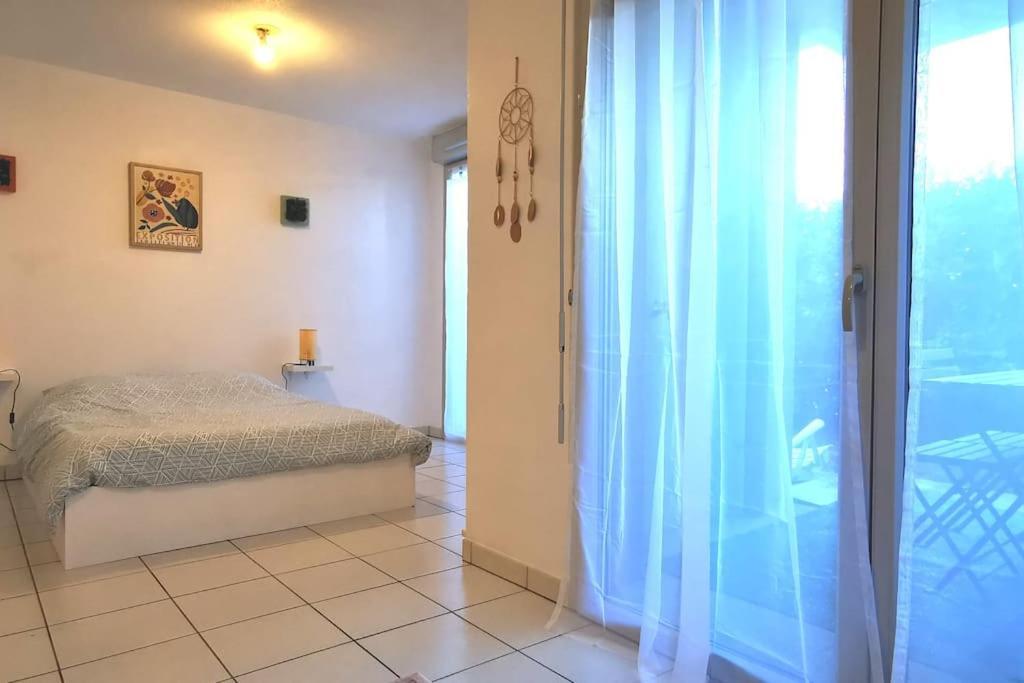 Grand Studio Lumineux Et Sa Terrasse Au Calme Τουλούζη Εξωτερικό φωτογραφία