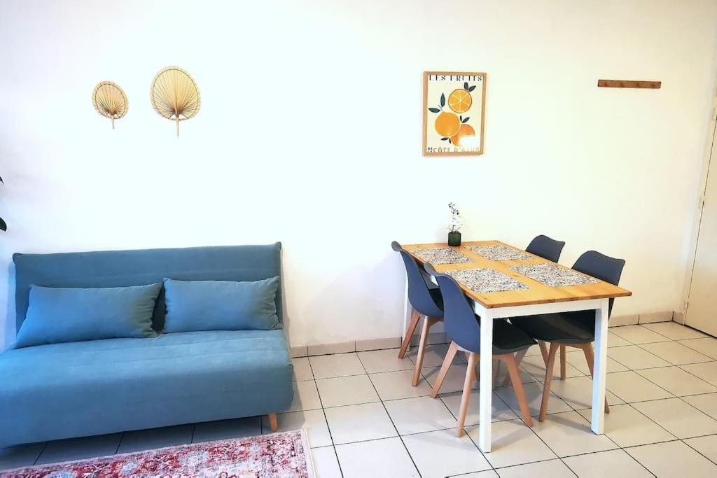 Grand Studio Lumineux Et Sa Terrasse Au Calme Τουλούζη Εξωτερικό φωτογραφία