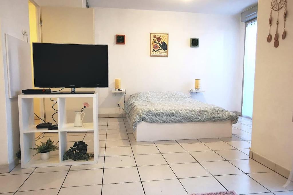 Grand Studio Lumineux Et Sa Terrasse Au Calme Τουλούζη Εξωτερικό φωτογραφία