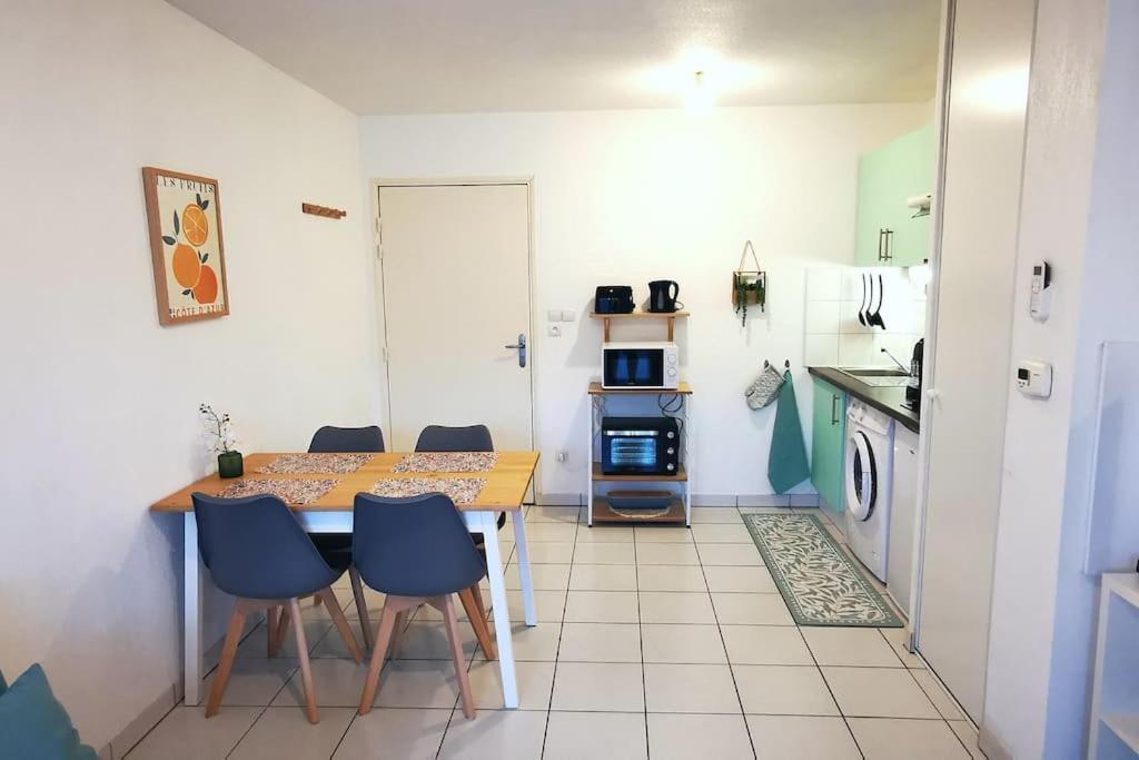 Grand Studio Lumineux Et Sa Terrasse Au Calme Τουλούζη Εξωτερικό φωτογραφία