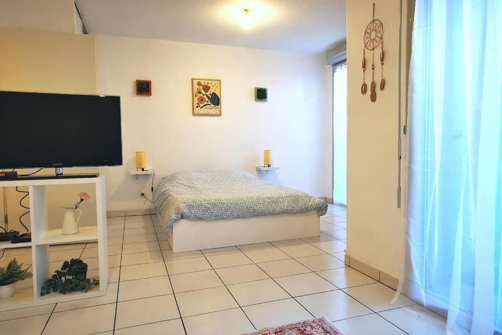 Grand Studio Lumineux Et Sa Terrasse Au Calme Τουλούζη Εξωτερικό φωτογραφία