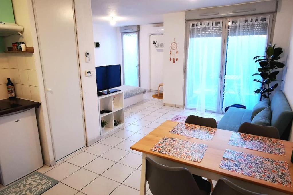 Grand Studio Lumineux Et Sa Terrasse Au Calme Τουλούζη Εξωτερικό φωτογραφία