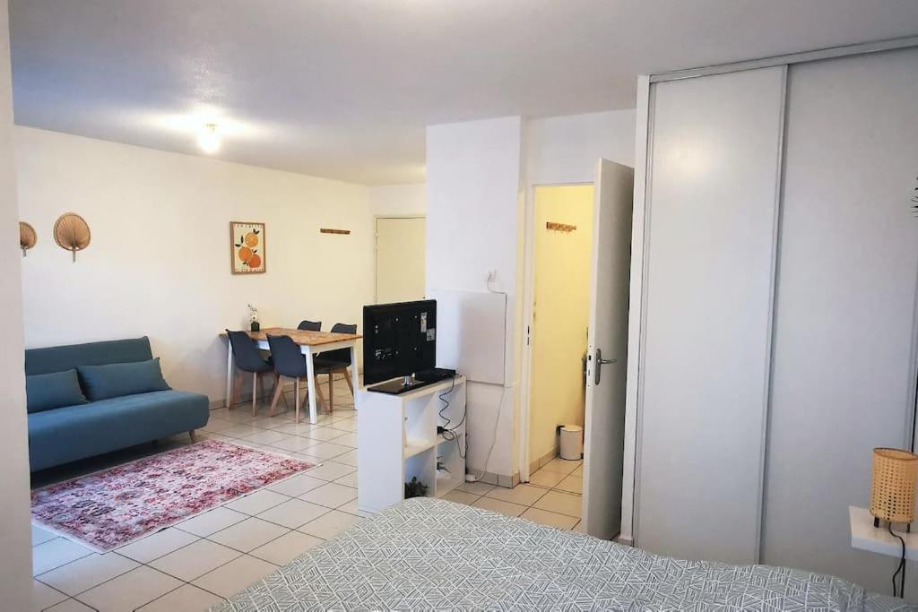 Grand Studio Lumineux Et Sa Terrasse Au Calme Τουλούζη Εξωτερικό φωτογραφία