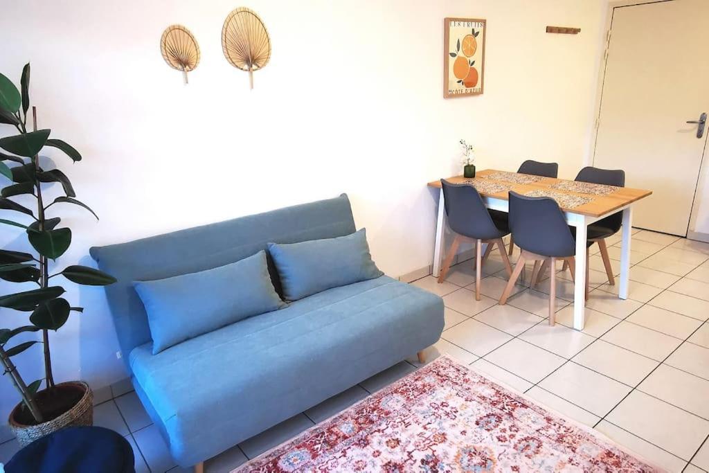 Grand Studio Lumineux Et Sa Terrasse Au Calme Τουλούζη Εξωτερικό φωτογραφία