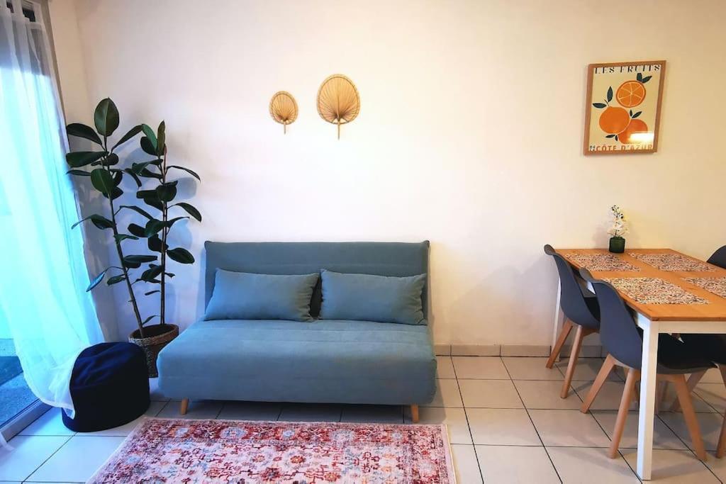 Grand Studio Lumineux Et Sa Terrasse Au Calme Τουλούζη Εξωτερικό φωτογραφία