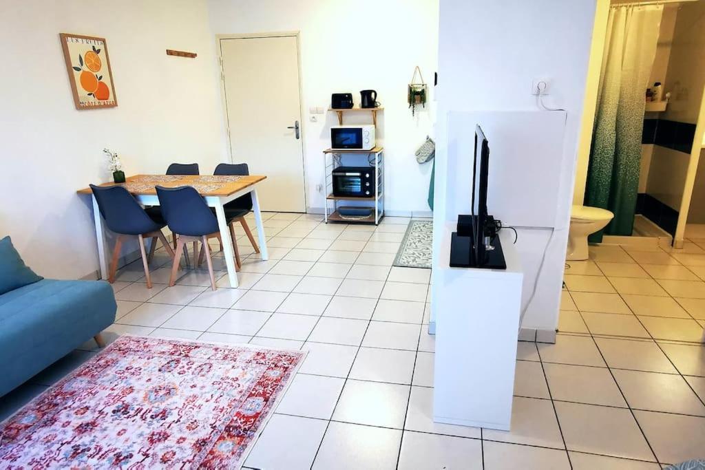 Grand Studio Lumineux Et Sa Terrasse Au Calme Τουλούζη Εξωτερικό φωτογραφία