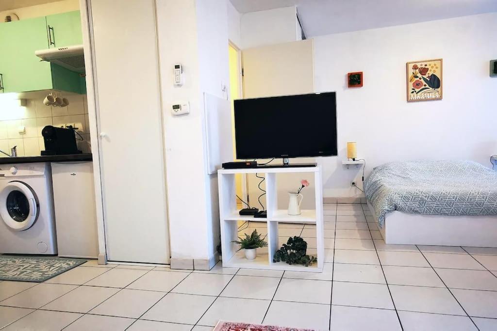 Grand Studio Lumineux Et Sa Terrasse Au Calme Τουλούζη Εξωτερικό φωτογραφία