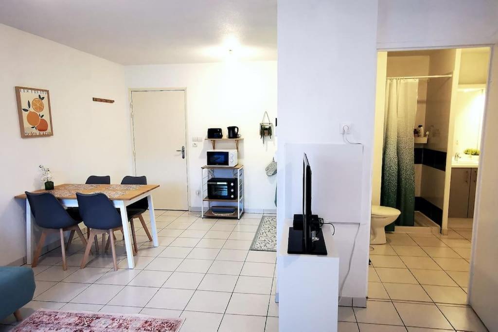 Grand Studio Lumineux Et Sa Terrasse Au Calme Τουλούζη Εξωτερικό φωτογραφία